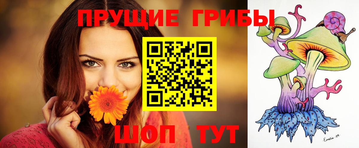 Каспийск  Псилоцибиновые грибы MAGIC MUSHROOMS  Галлюциногенные грибы ЛСД  Вход с VPN 